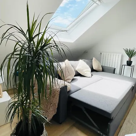 Large Townhouse With A Private Garden-dif1 Differdange