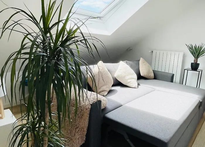 Large Townhouse With A Private Garden-dif1 Differdingen